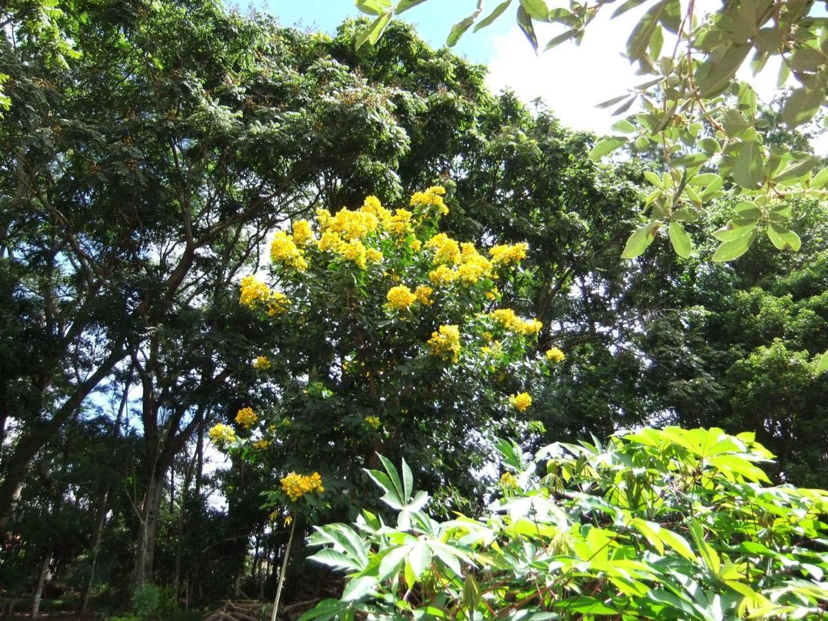 Eco Pousada Passaredo São Miguel Arcanjo Exterior foto